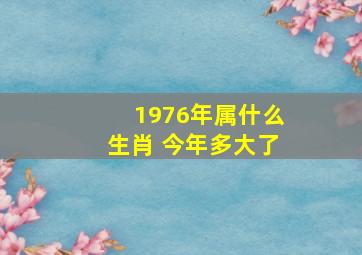 1976年属什么生肖 今年多大了